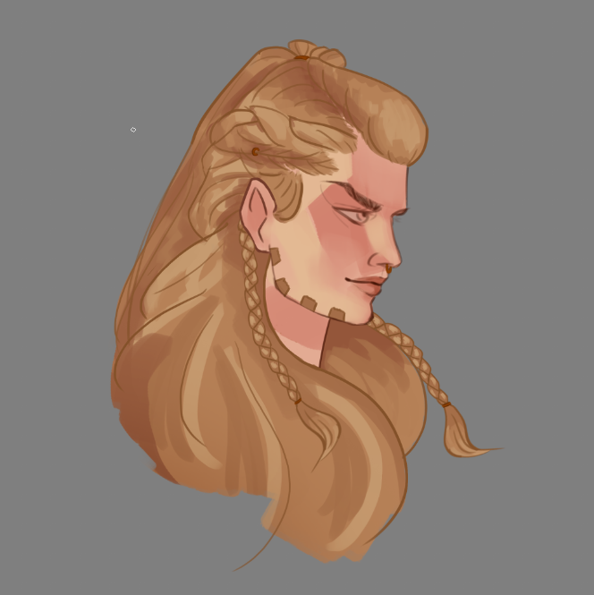 gyro with braided viking hair