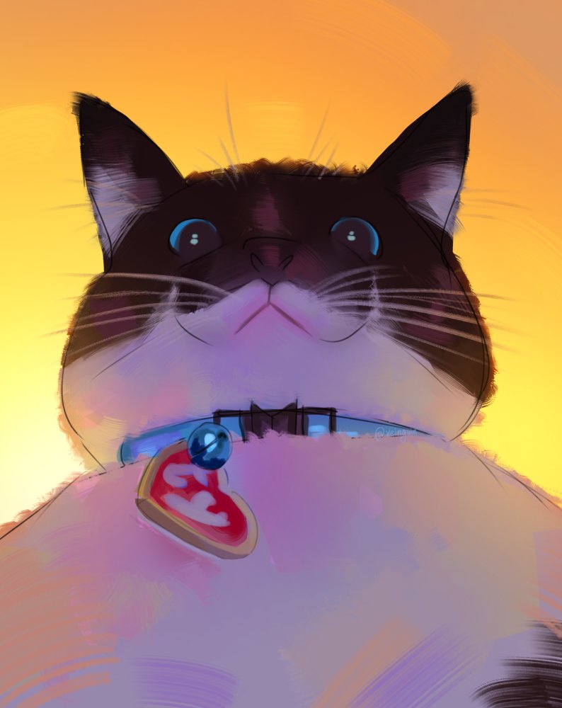 a violet-lit cat stares down on you