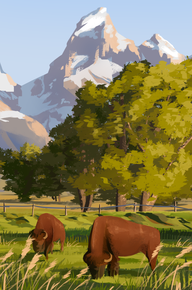 two buffalo on the plains with trees and mountains behind them