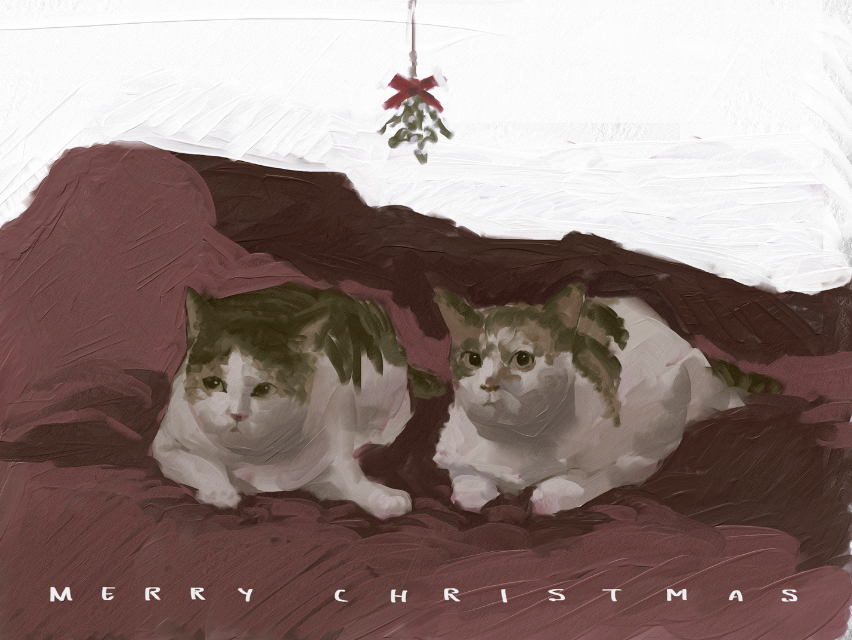 two cats underneath a mistletoe captioned with the text merry christmas